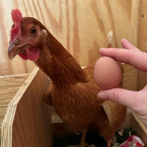 Meet your Posher, Victoria - Picture 13 of 16